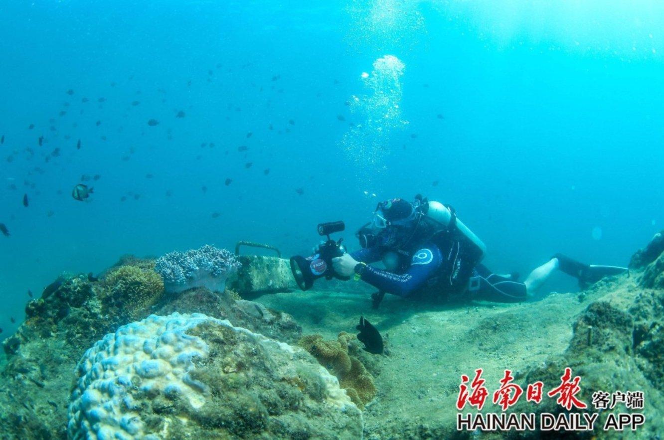 有哪些能消除烦恼的沙雕句子？